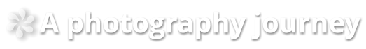 A photography journey